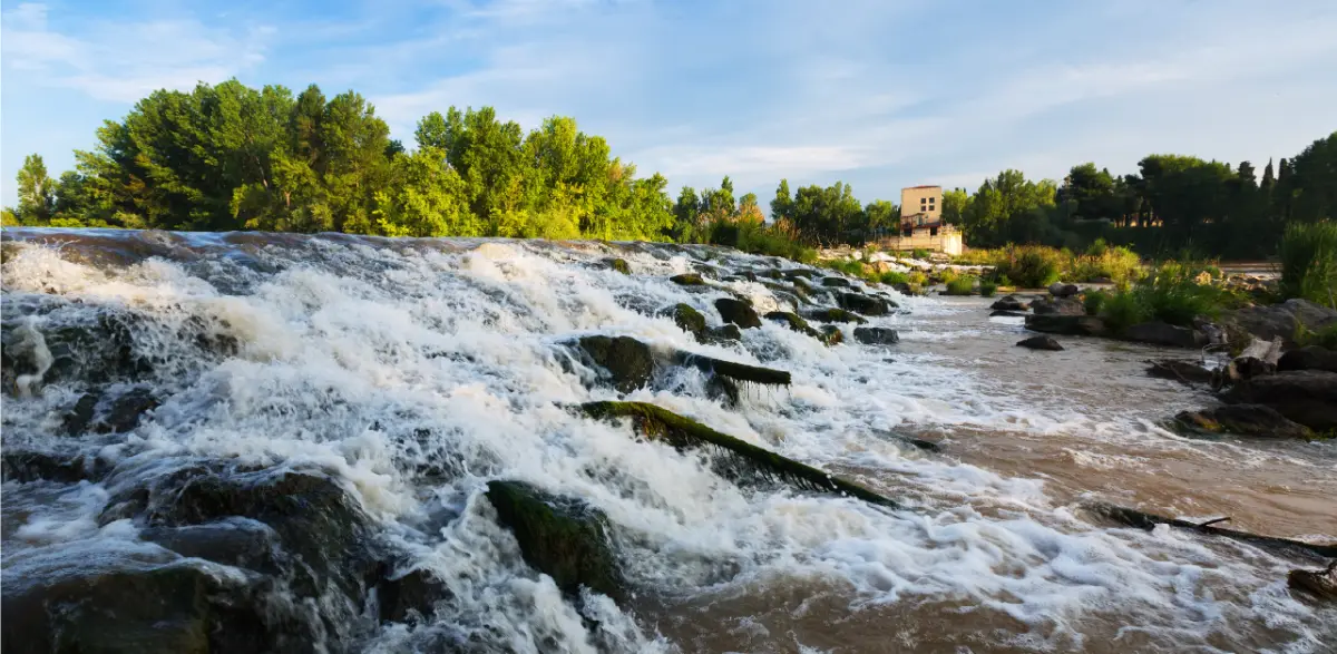 Conservación de cuencas: por qué es clave para la disponibilidad de agua segura